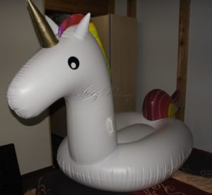 einhorn_bild-4