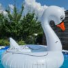 XL Schwimmreifen "Schwan" Style – Bild 3