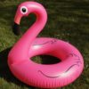 XL Flamingo – Bild 4