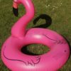 XL Flamingo – Bild 7