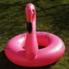 XL Flamingo – Bild 5