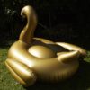 XXL goldener Schwan – Bild 7