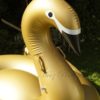 XXL goldener Schwan – Bild 6