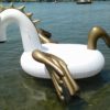 XXL weiß/goldener Pegasus – Bild 9