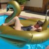 XXL goldener Schwan – Bild 2