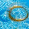 Schwimmreifen "Glitzer" Style mit goldenem Glitzer – Bild 6