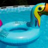 Aufblasbarer Schwimmreifen "Tukan" Design – Bild 4