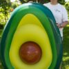 Aufblasbare Luftmatratze "Avocado" ~165x130 cm + Wasserball mit ~45 cm Durchmesser – Bild 3