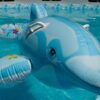 Aufblasbarer Delfin in Hellblau mit ~175x66 cm – Bild 7