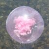 Wasserball "Federn" Style Pink – Bild 2