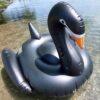 XXL schwarzer Schwan – Bild 4