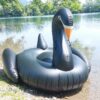 XXL schwarzer Schwan – Bild 3