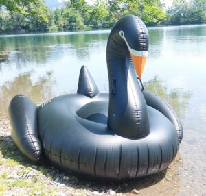 XXL schwarzer Schwan