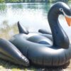XXL schwarzer Schwan – Bild 2