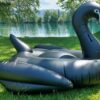 XXL schwarzer Schwan – Bild 9