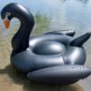 XXL schwarzer Schwan – Bild 6