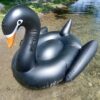 XXL schwarzer Schwan – Bild 5