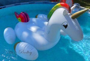 XXL Einhorn "New Edition"